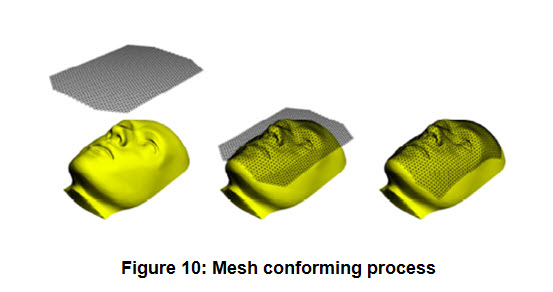 Fig 10 Mesh Face