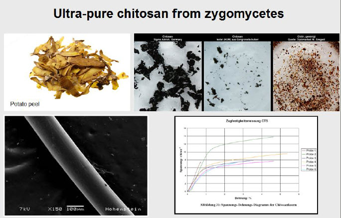 Chitosan