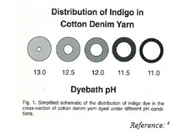 Fig 1 (1)