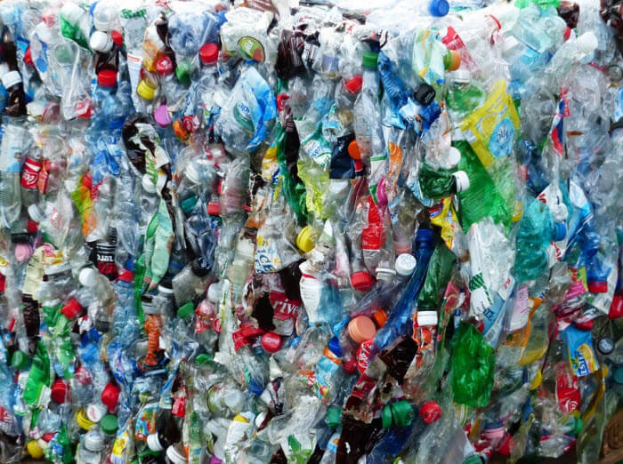 plastic bottles.jpg (1)