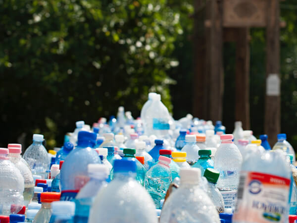 bottles-container-daylight-802221.jpg