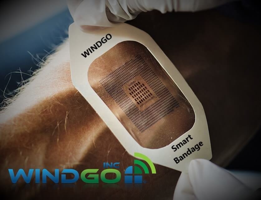 Windgo Inc is based in Columbia, Missouri, US.jpg