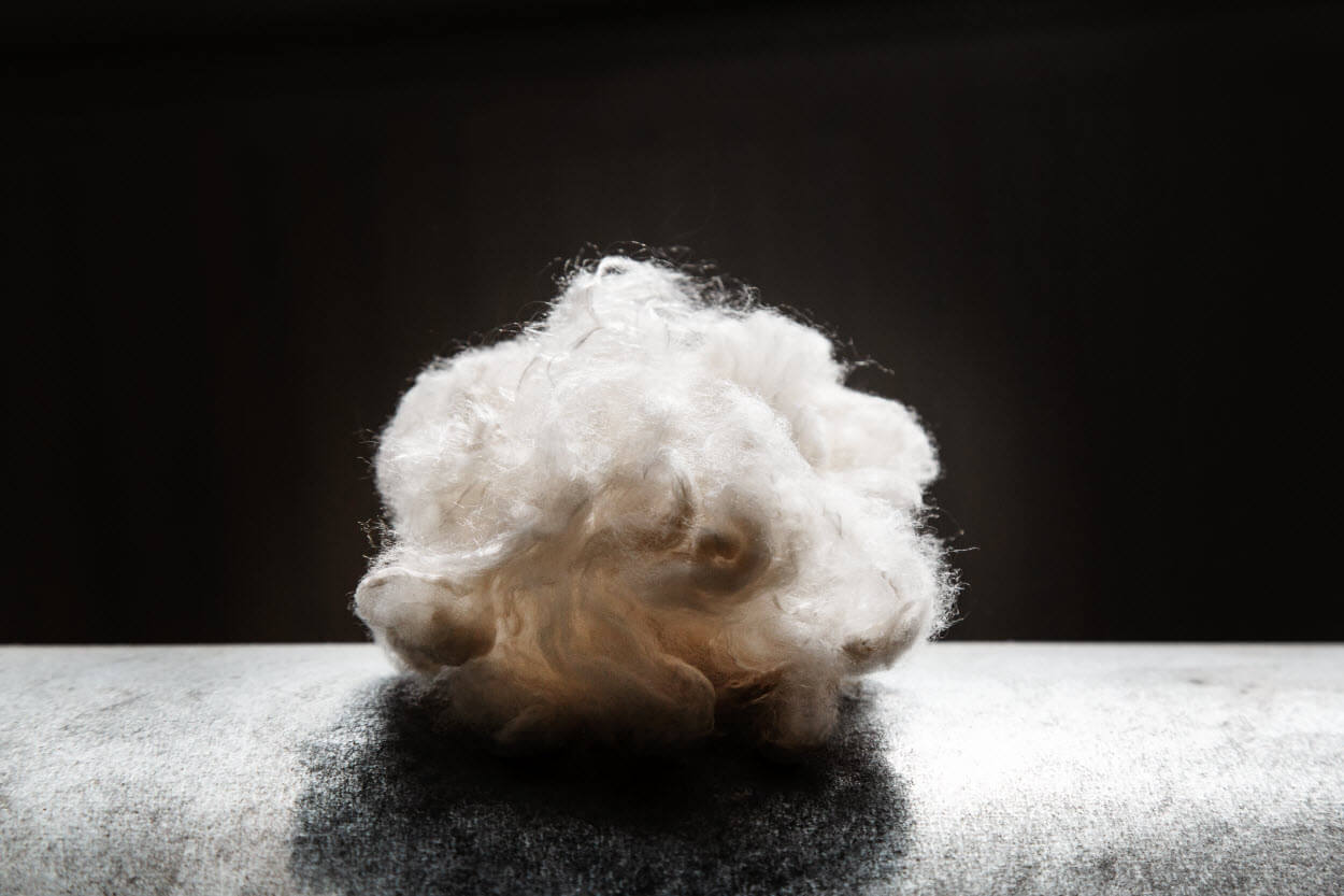 Brands such as Levi's and H&M are working on collections using this fibre.jpg