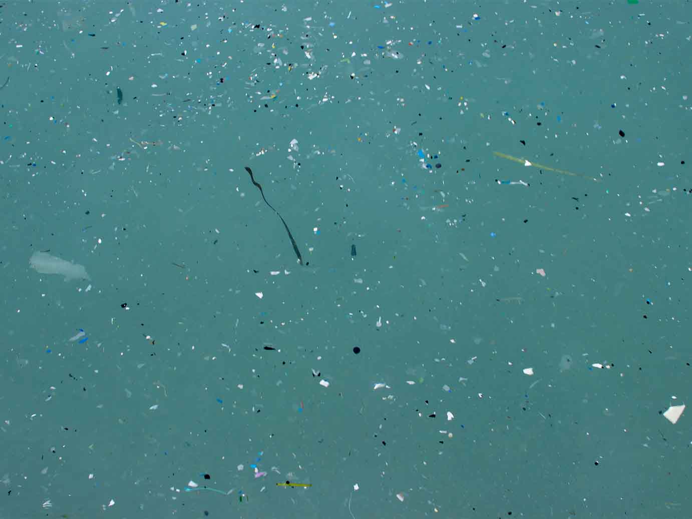 Microplasics_in_water.jpg