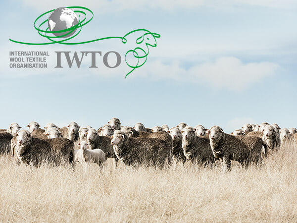IWTOArticles3.jpg