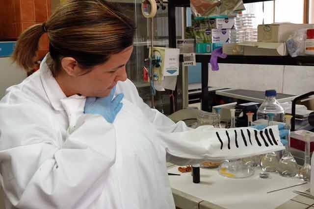The researcher Susana Guzmán with a prototype.jpg