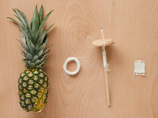 Pineapple wool is apparently more sustainable than sheep's wool. Image credit Tom Mannion..jpg (1)