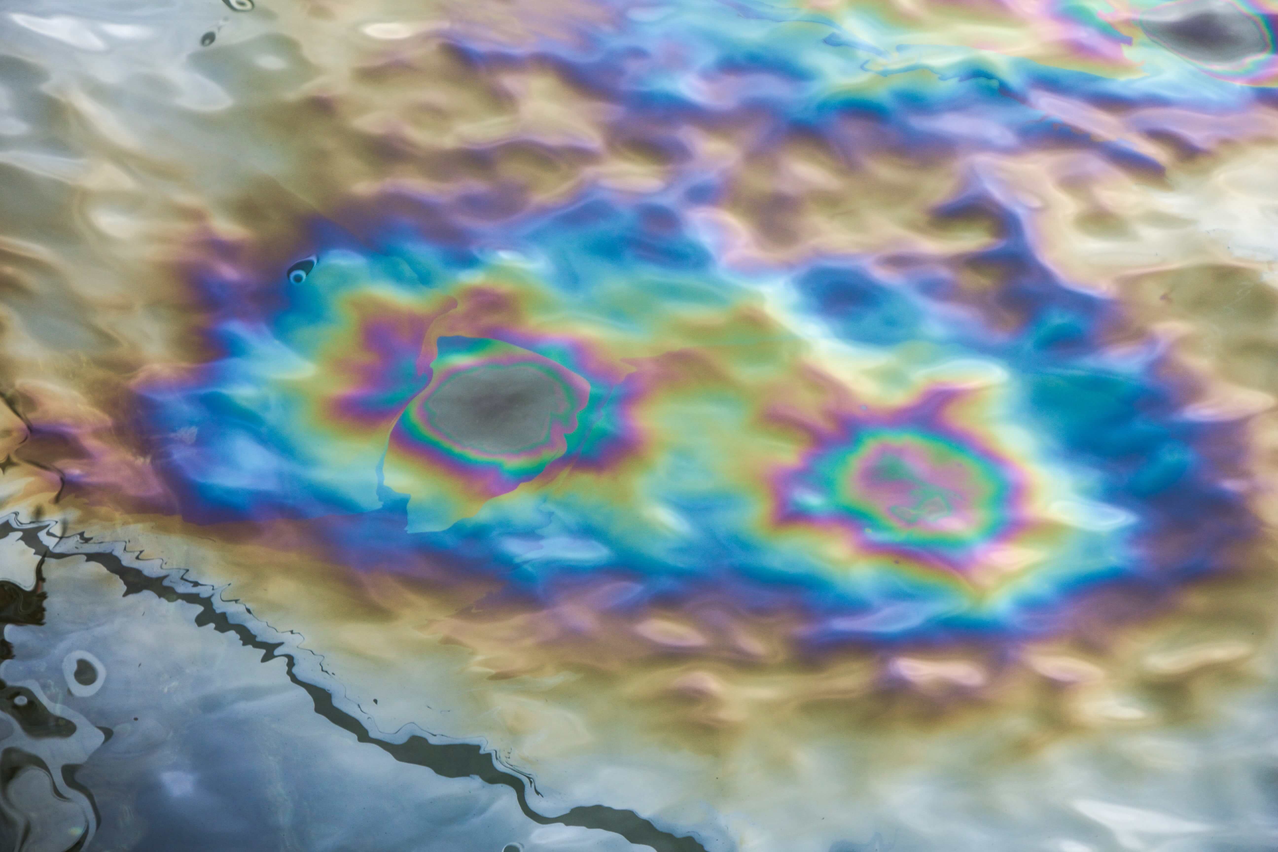 How plants and textiles can help with oil spills