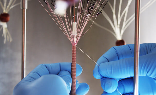 The blood vessels would have the advantage of being well tolerated by all patients. Credit Nicolas L'Heureux.jpeg