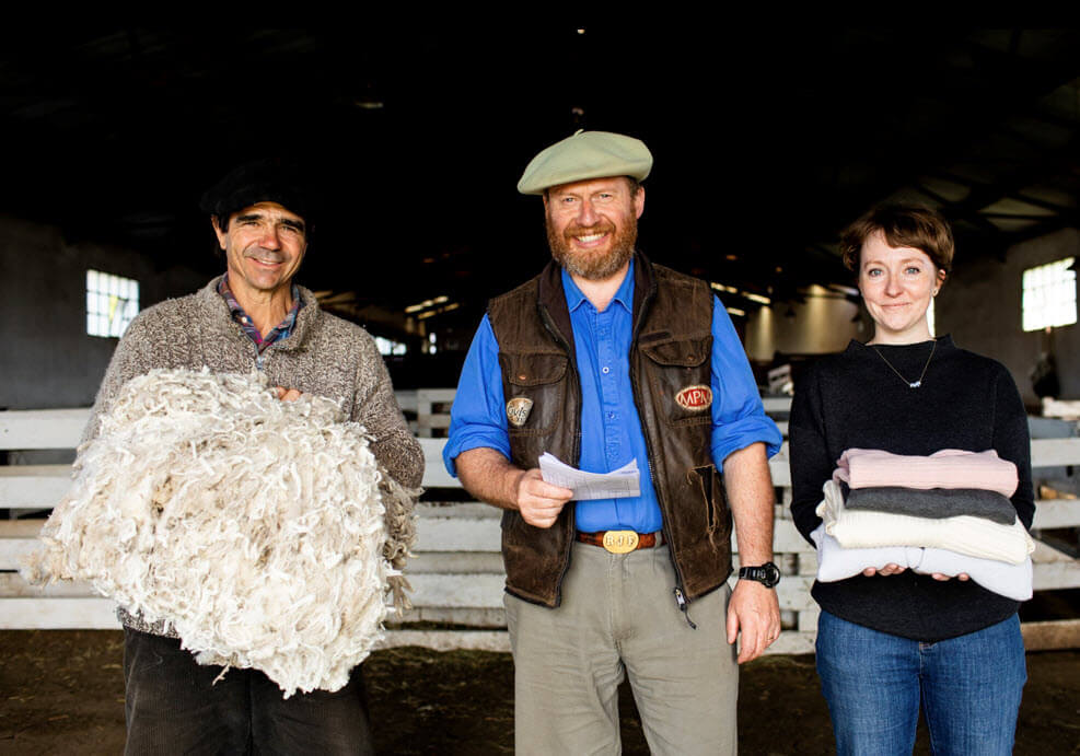 How brands can source wool from regenerative farms