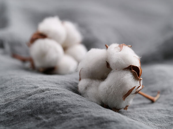 Cotton futures rally on 2021 ideas