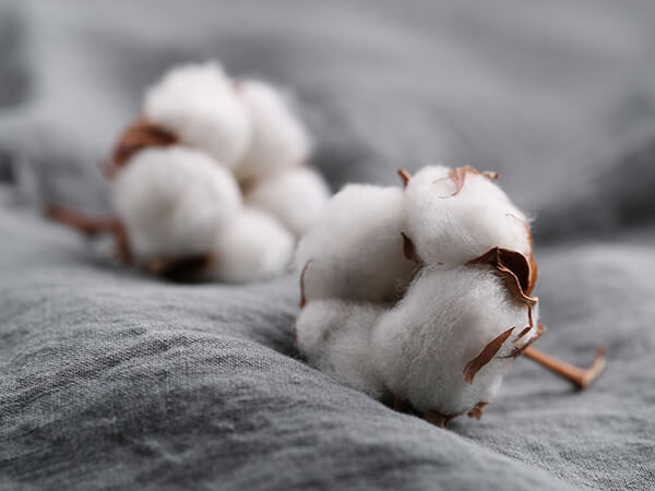 cotton-flowers--THUMBNAIL.jpg