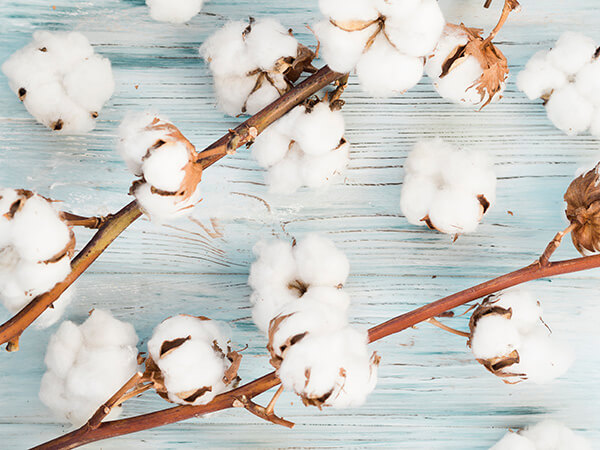 US cotton futures hit 18-month high