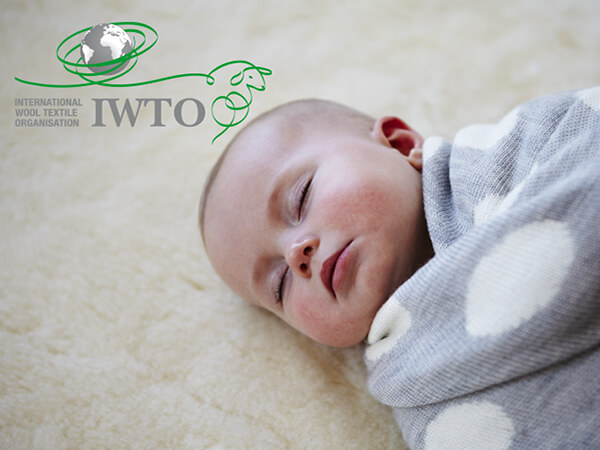 IWTO_Jan_Thumbnail--RESIZE.jpg
