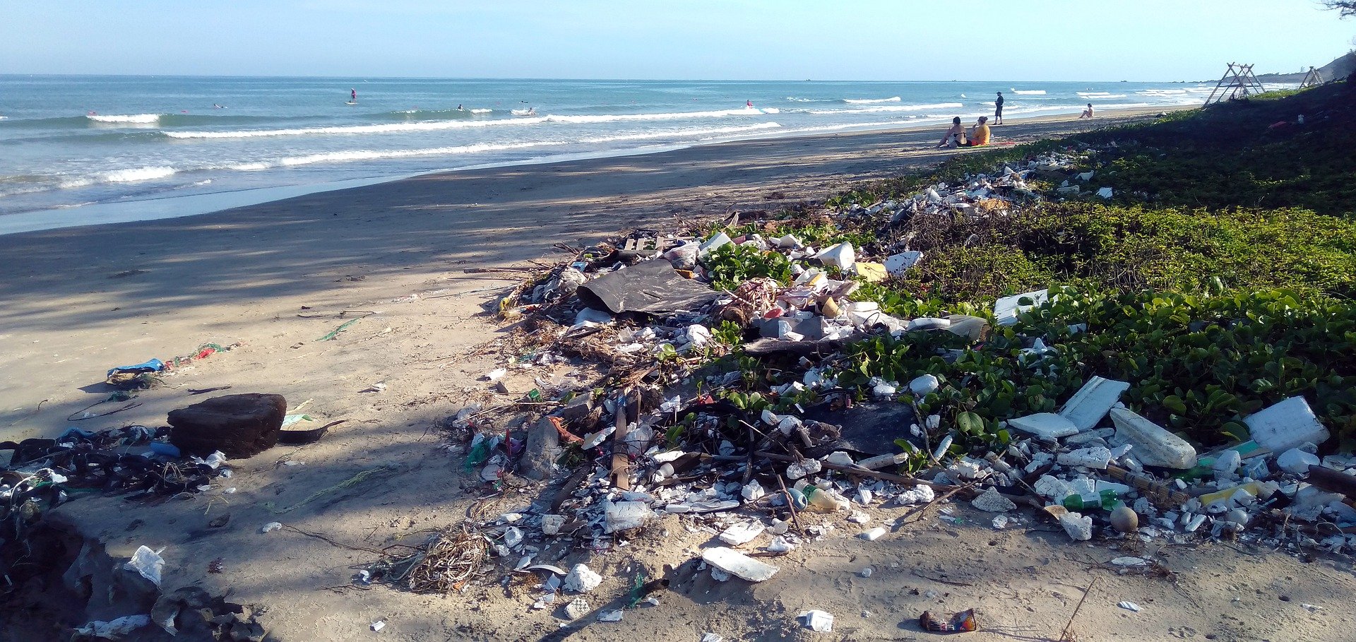 Biodegradability Isn't Always The Answer, According To Dr Morton Barlaz