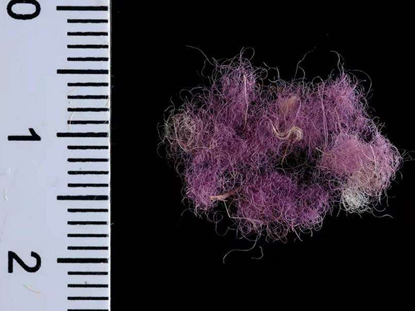 Purple Dyed Wool Found TN