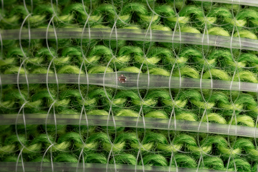 The Digital Fibre Can Store A Lot Of Information In Memory. Credit Anna Gitelson Kahn And Roni Cnaani
