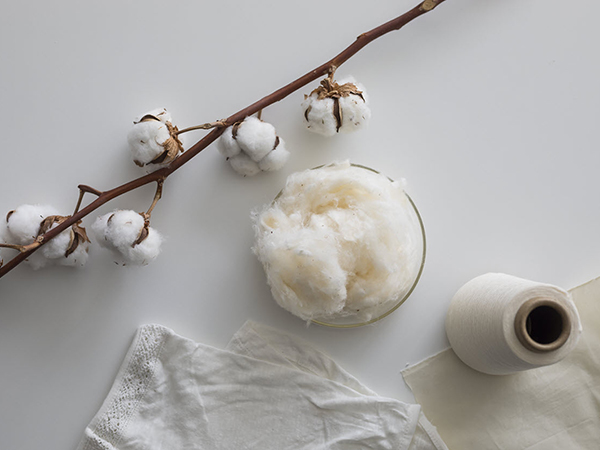 New test quantifies modification in organic cotton