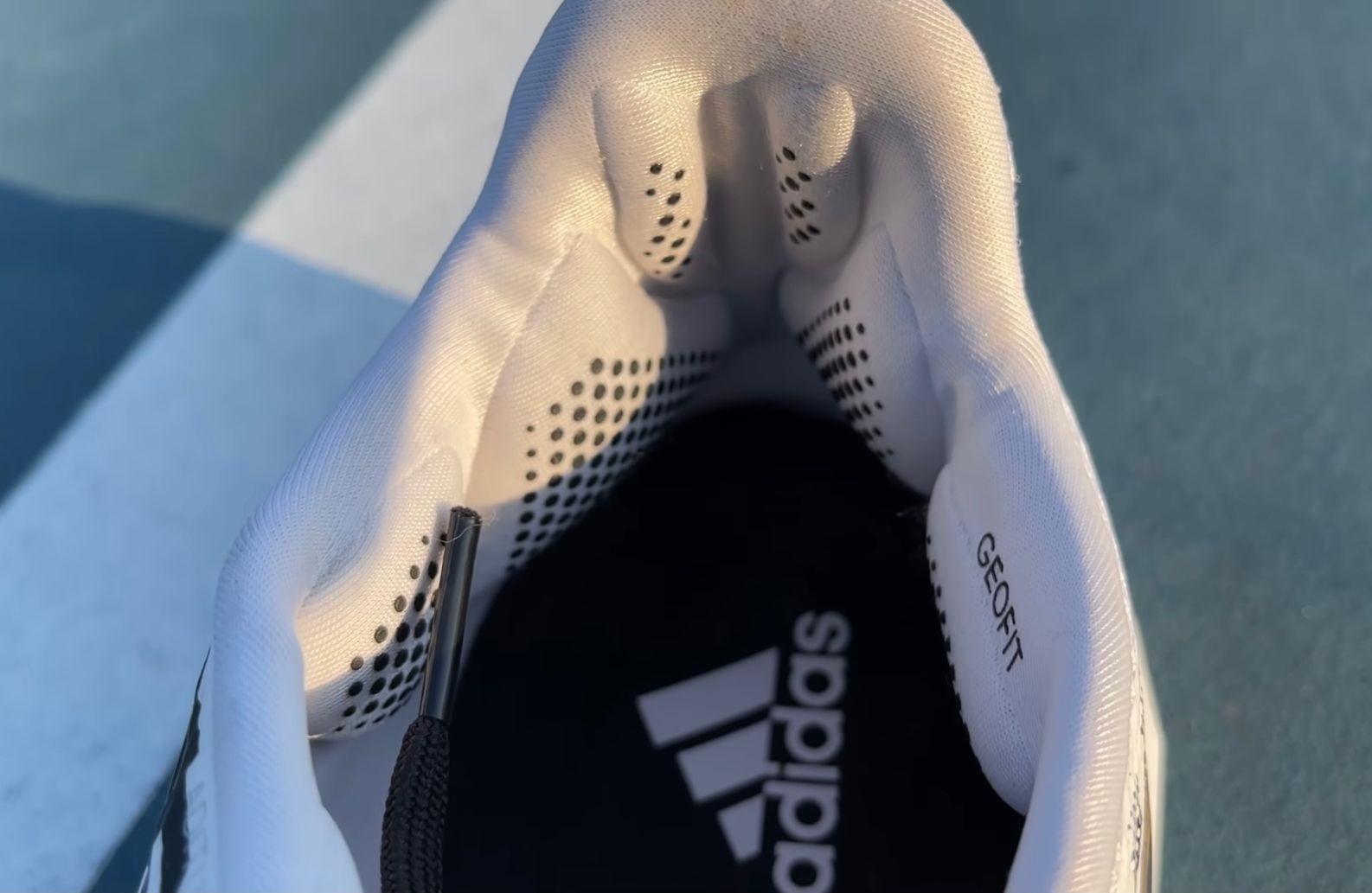 A Single 3D Foot Scan Was Created By Merging The Footscans Of 70 Athletes