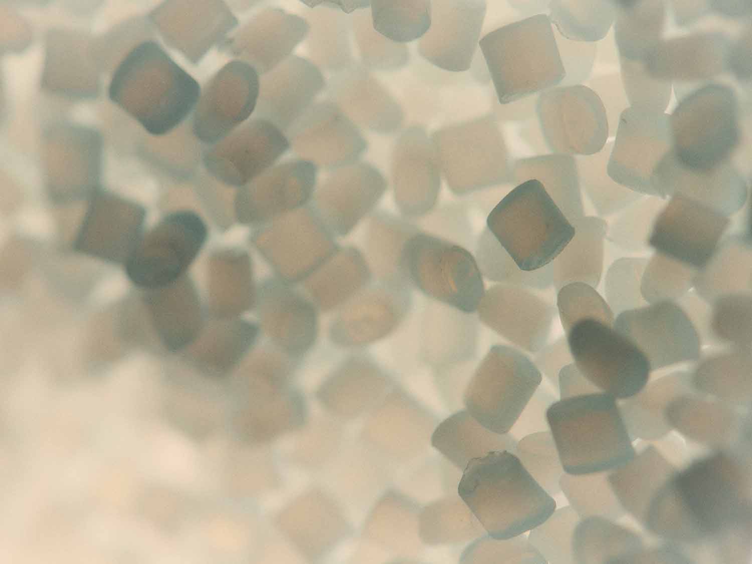 Nylon recycling startup up raises US$30m Series A