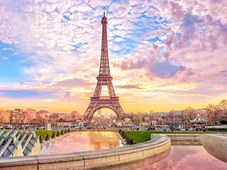 PARIS TN