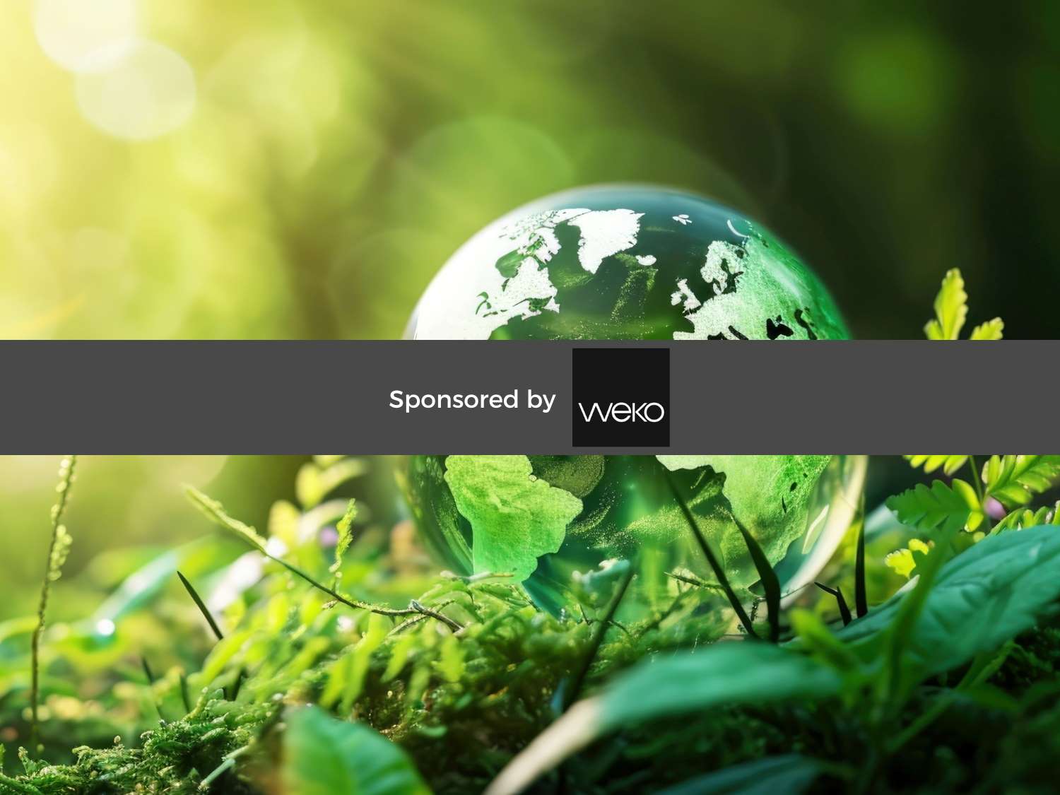 WEKO Webinar Thumbnail