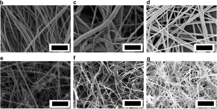 Preparation And Morphology Of PANPCLAg NW Nonwovens Prepared By The Wet -laid Process