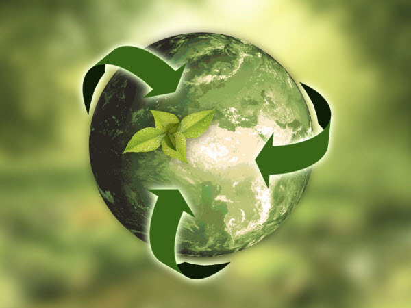 sustainability leader