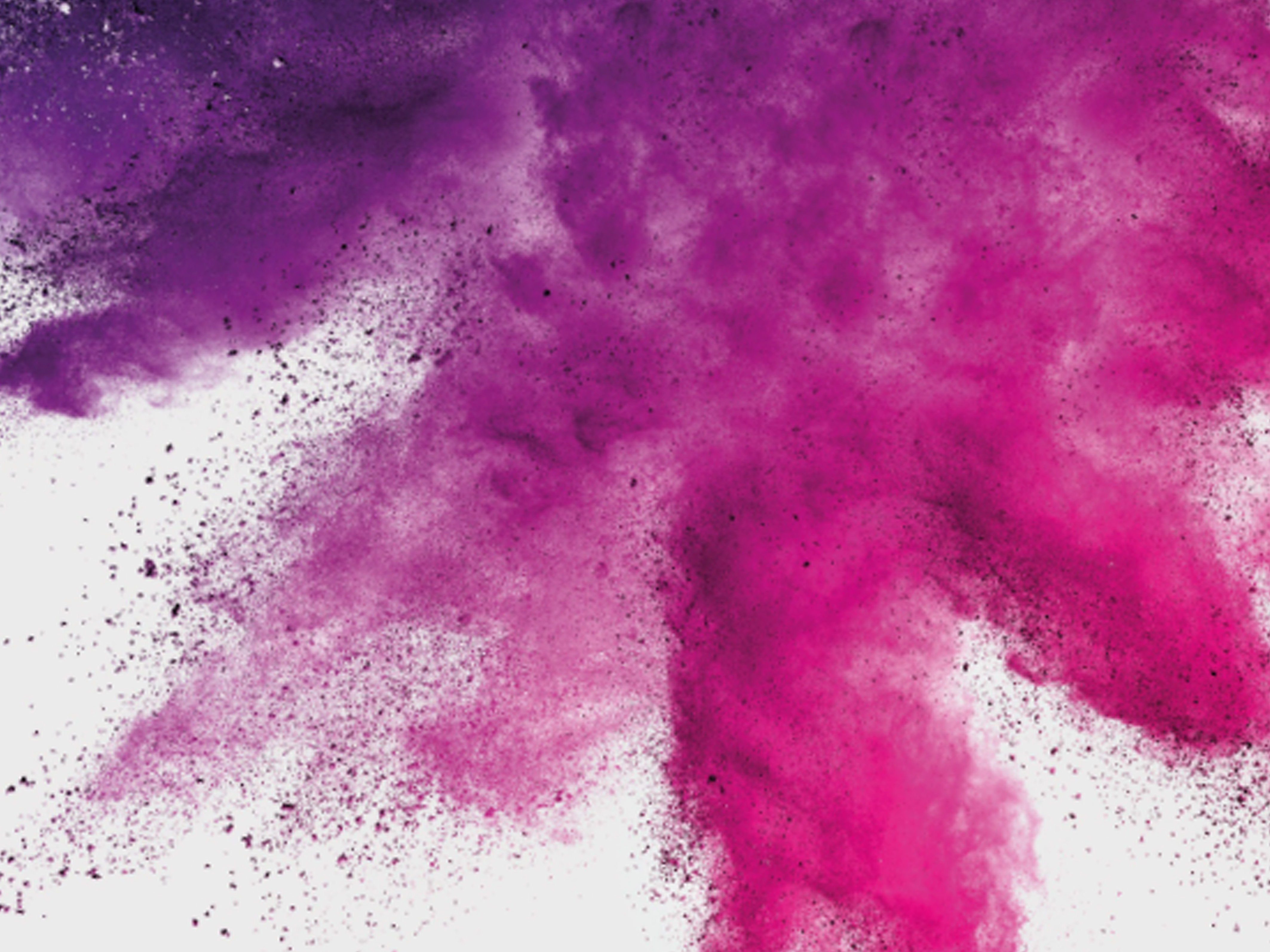 Sector Report: International Dyer & Finisher - H1 2025