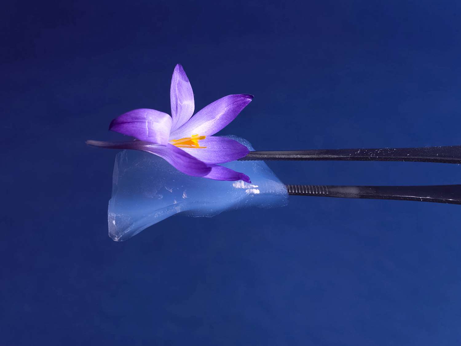 AEROGEL TN
