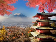 TOKYO JAPAN TN
