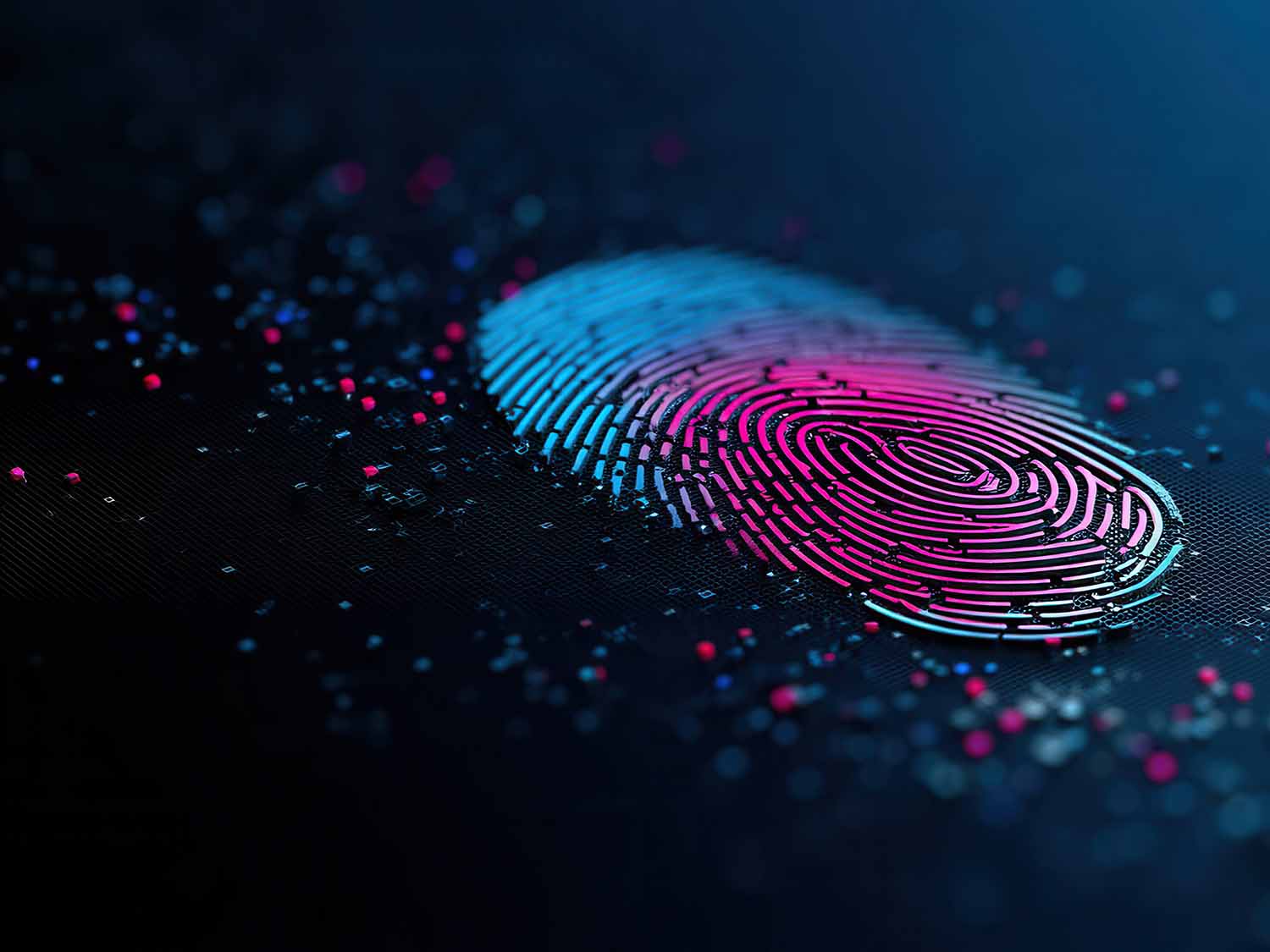 Composition Identification TN