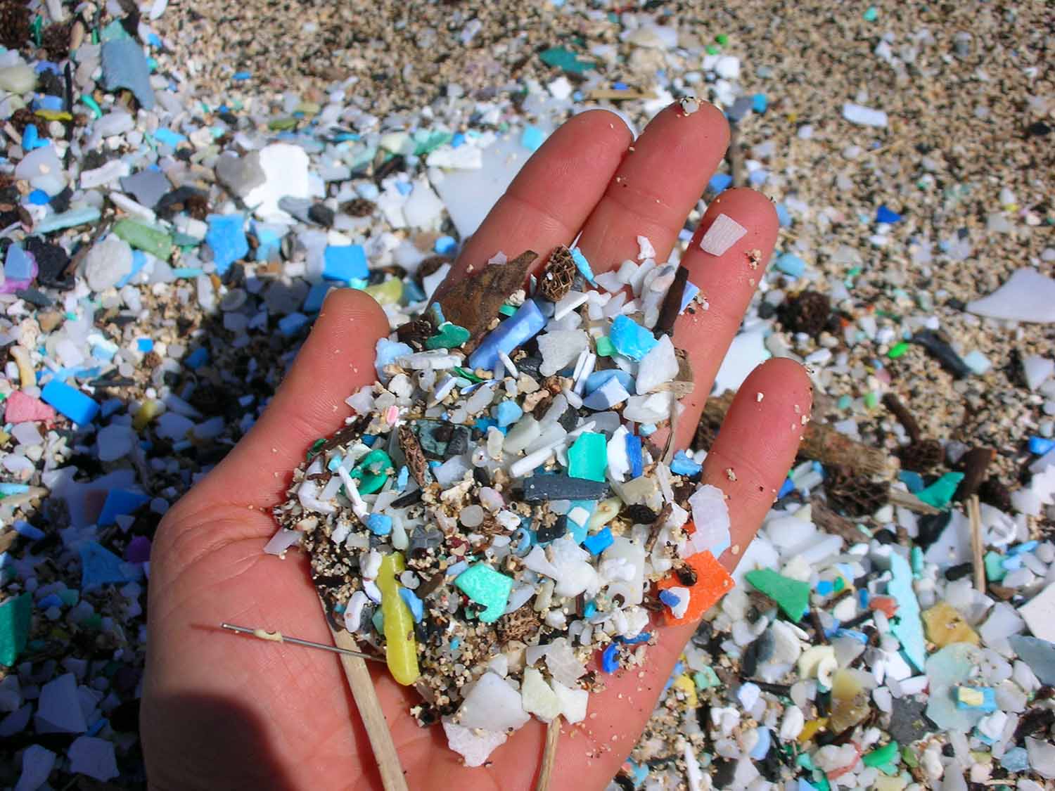 MICROPLASTICS TN