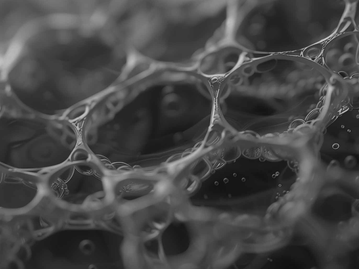 Event Report: Biobased Materials