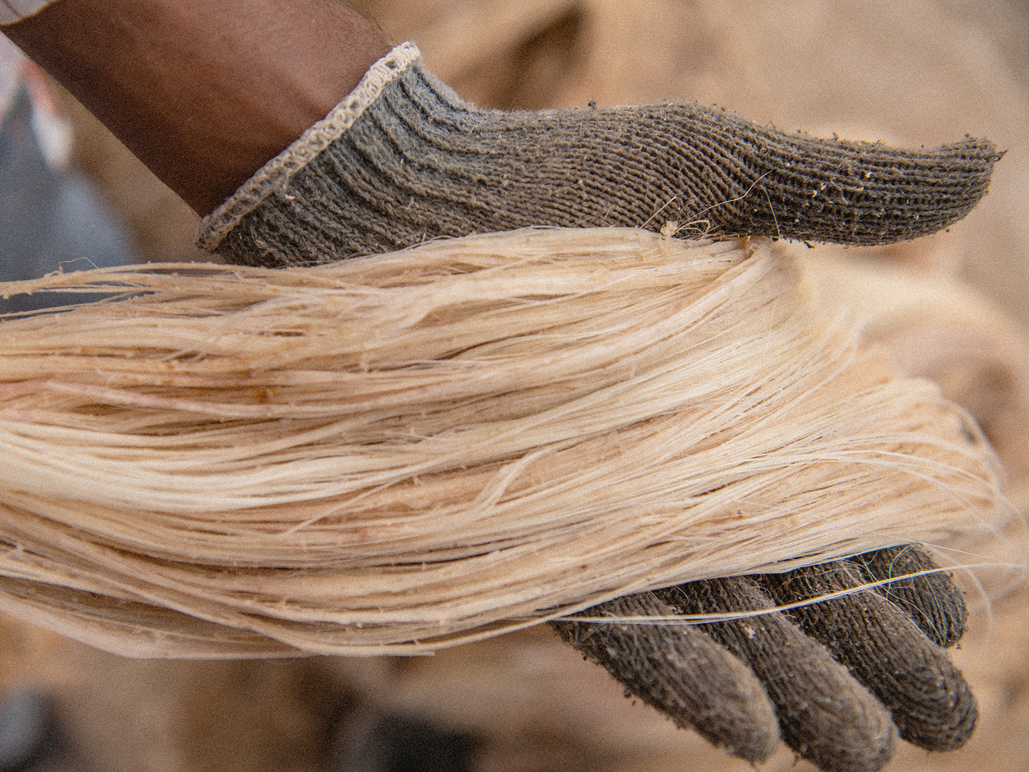 Loomshake yarn utilises waste banana fibres