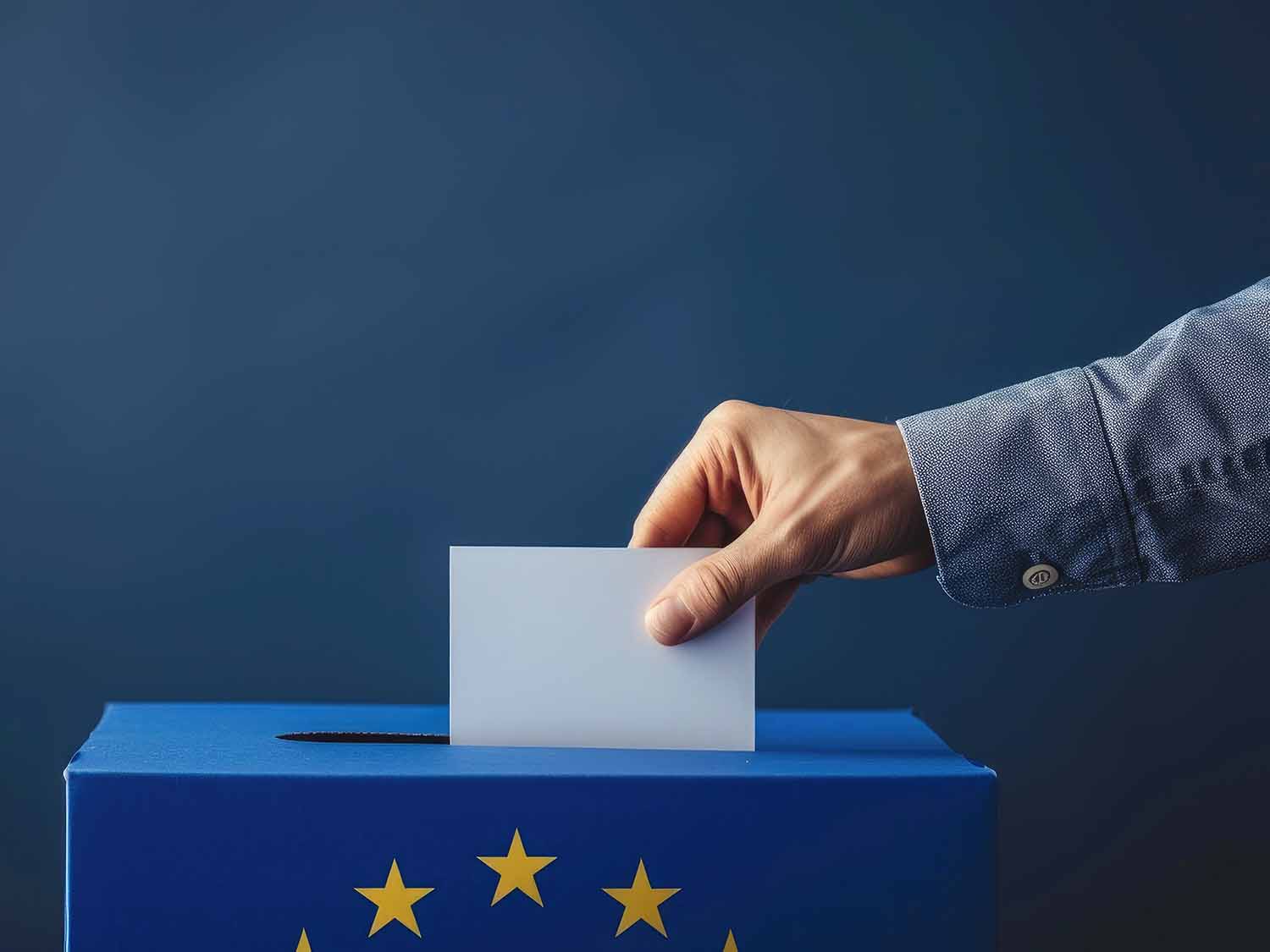 EU VOTES TN