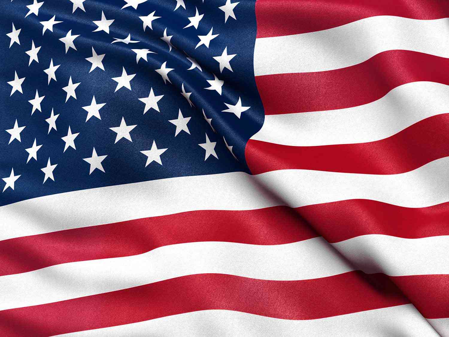 US FLAG TN