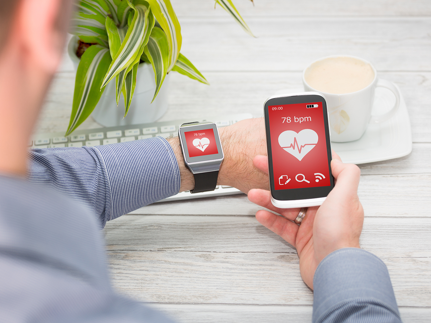 WEARABLE TECH TN
