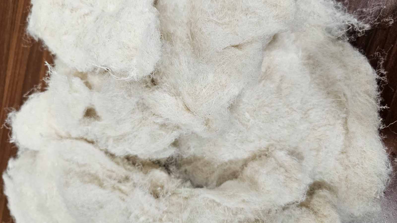 Hemp is widely regarded to have a lower environmental impact than traditional materials such as cotton and polyester.