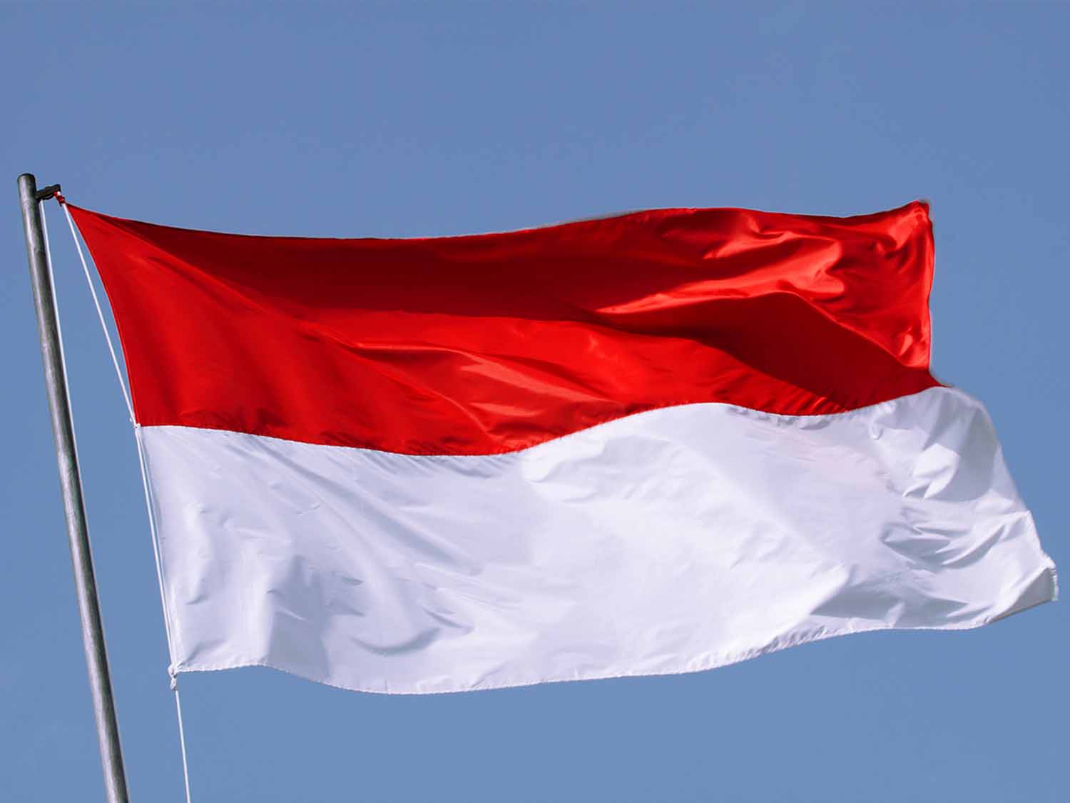 INDONESIA TN