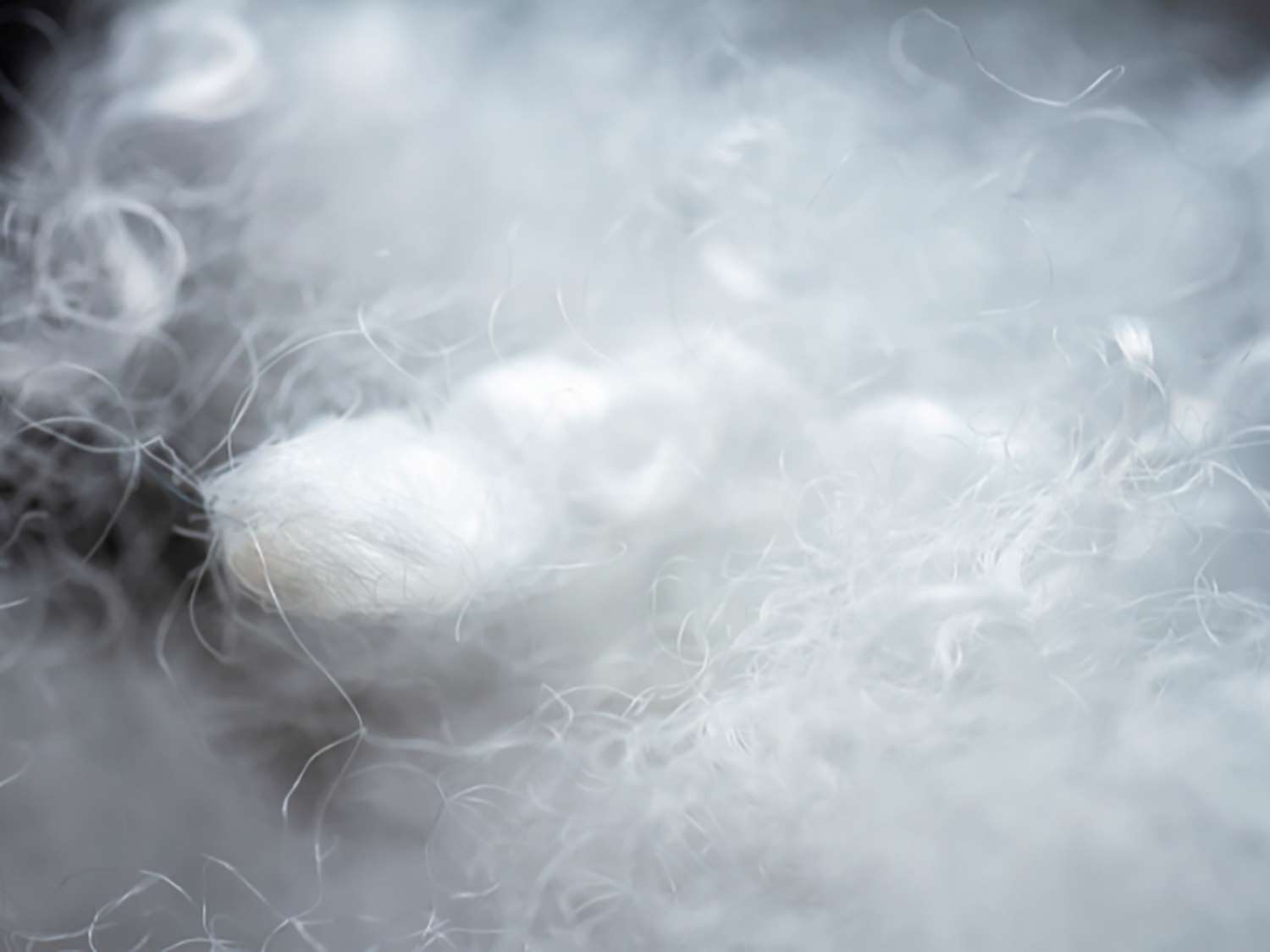 Alternatives To Polyester TN