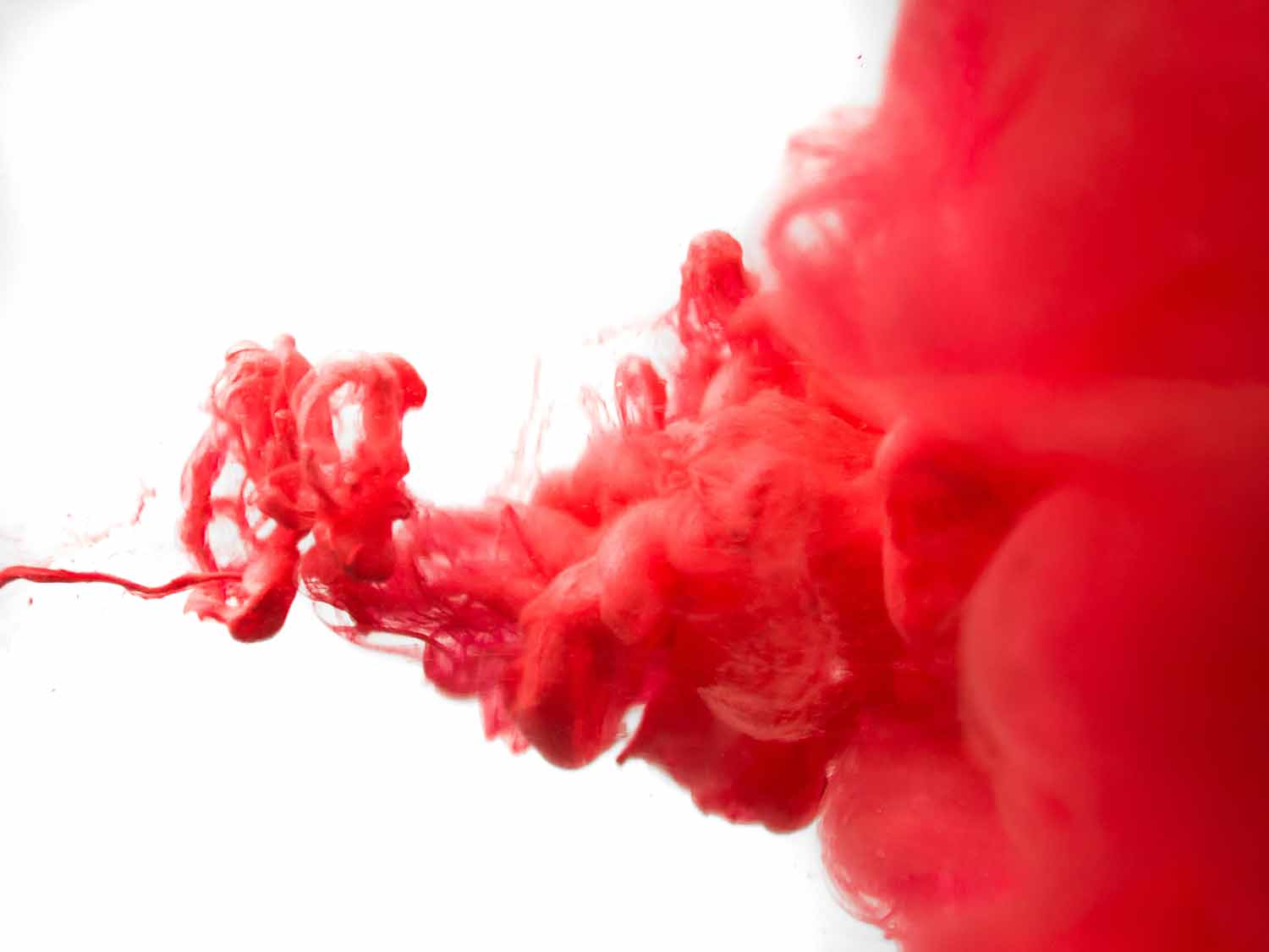 EVERDYE TN