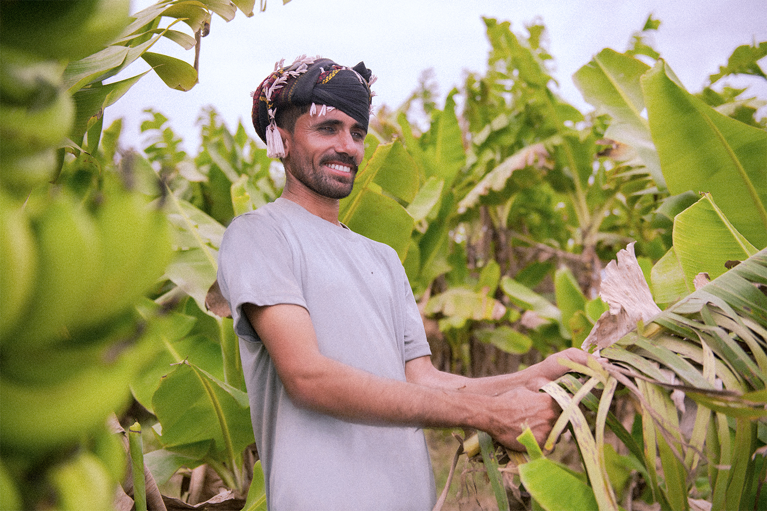 The creation of Loomshake yarn begins at banana farms in Sindh, Pakistan