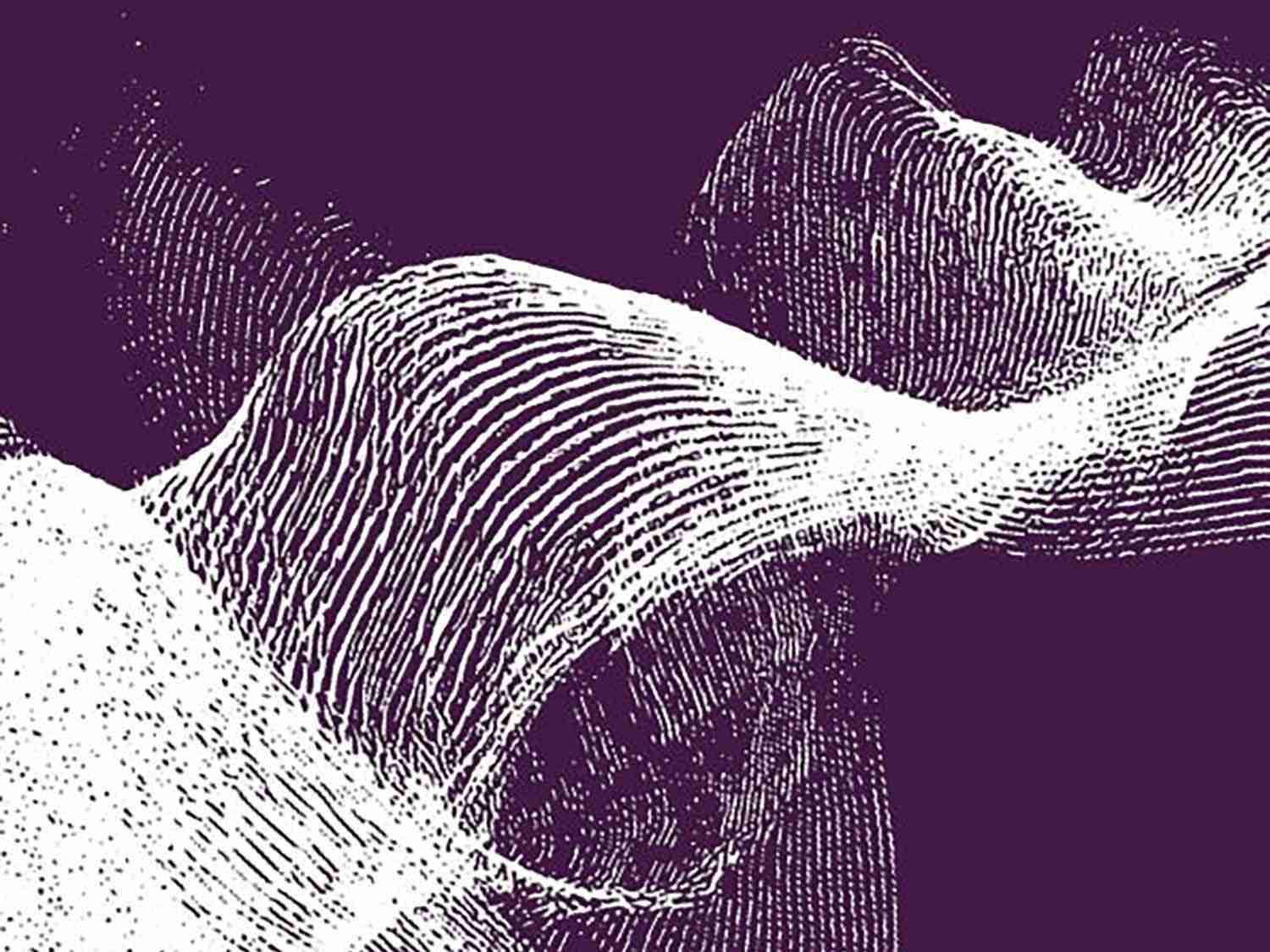 Innovation Outlook: Fibres and Yarns