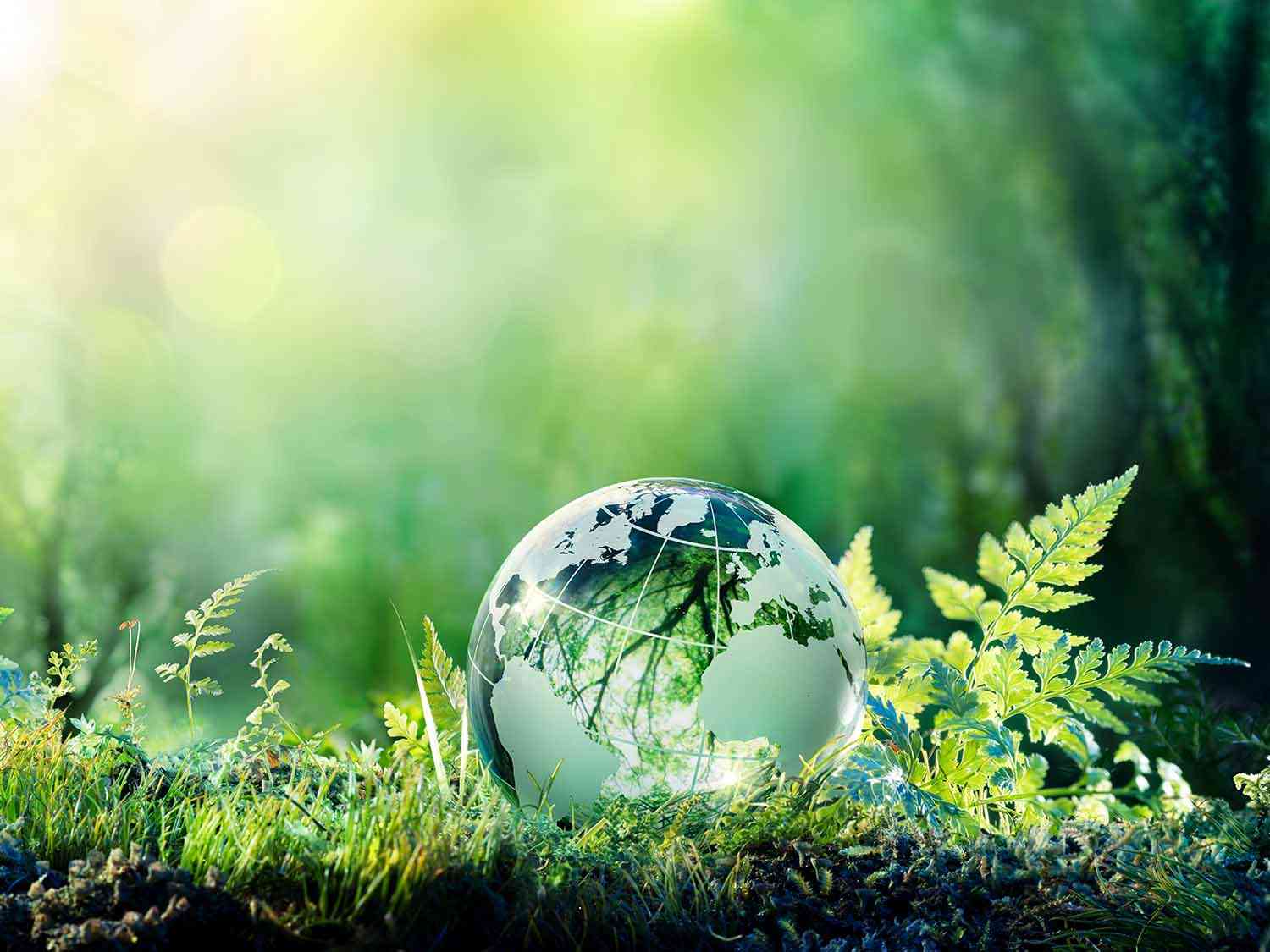 SUSTAINABILITY TN