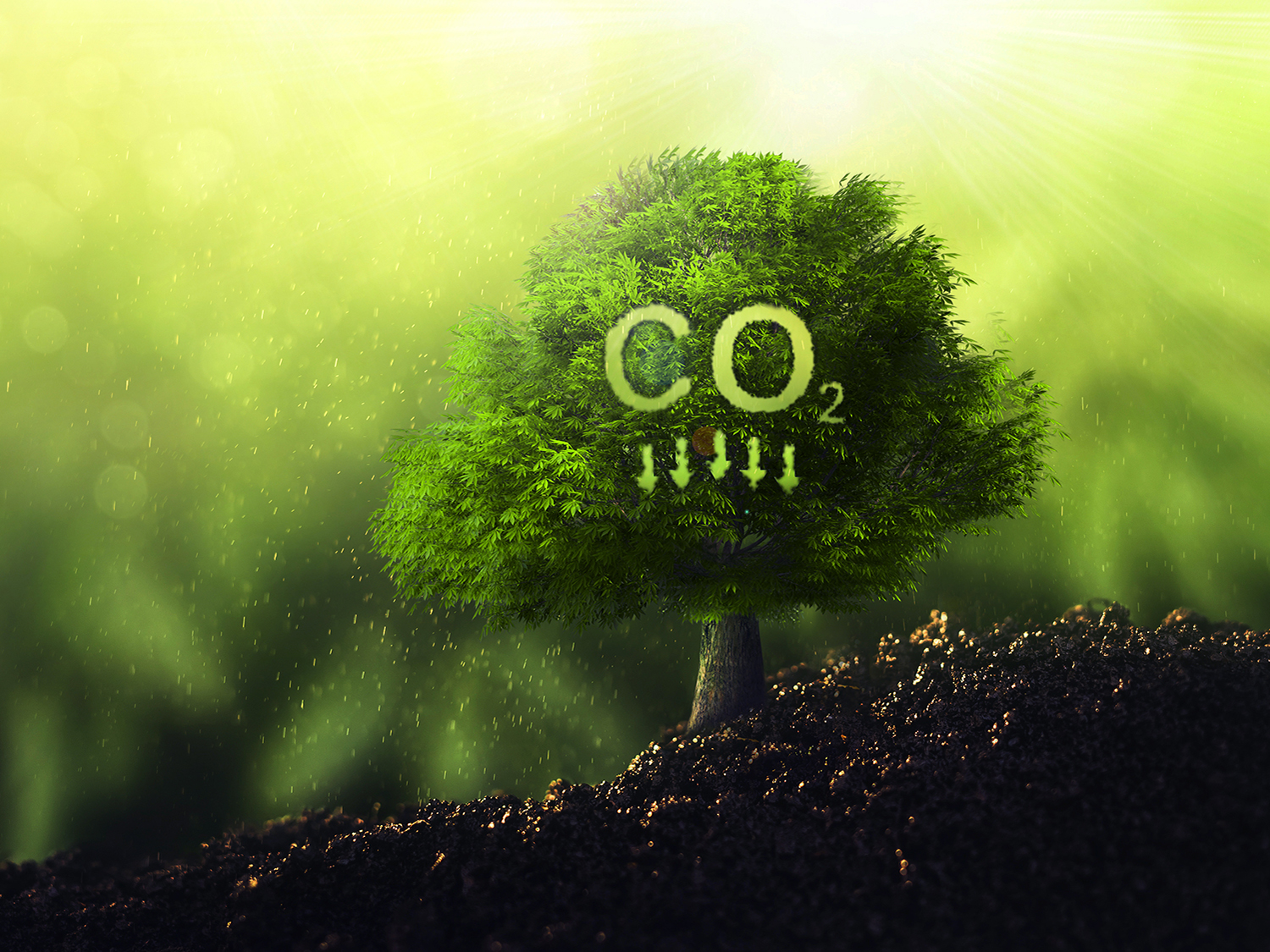 REDUCE CO2 TN