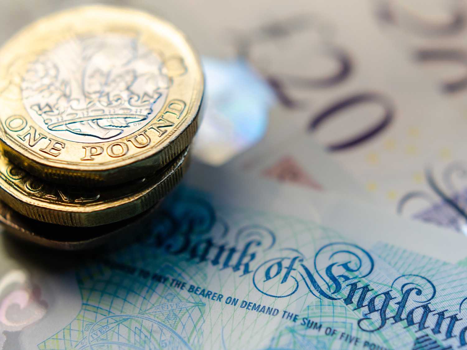 Executive Market Report