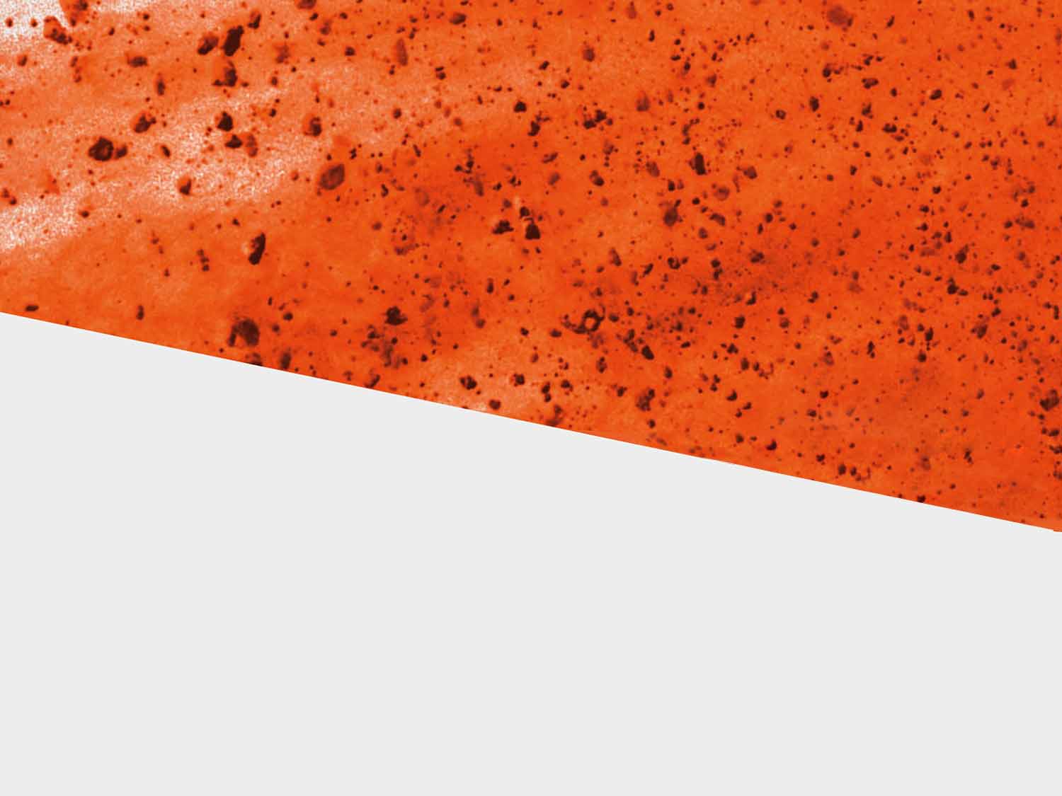 Sector Report: International Dyer & Finisher - H2 2025