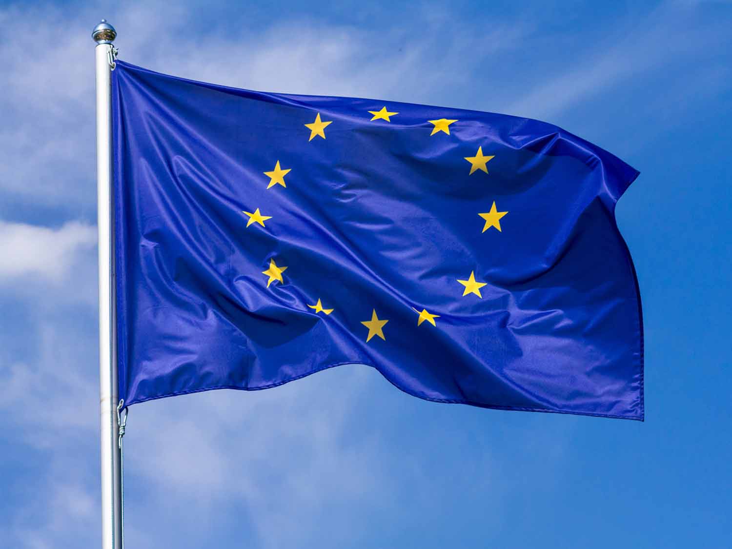EU FLAG TN