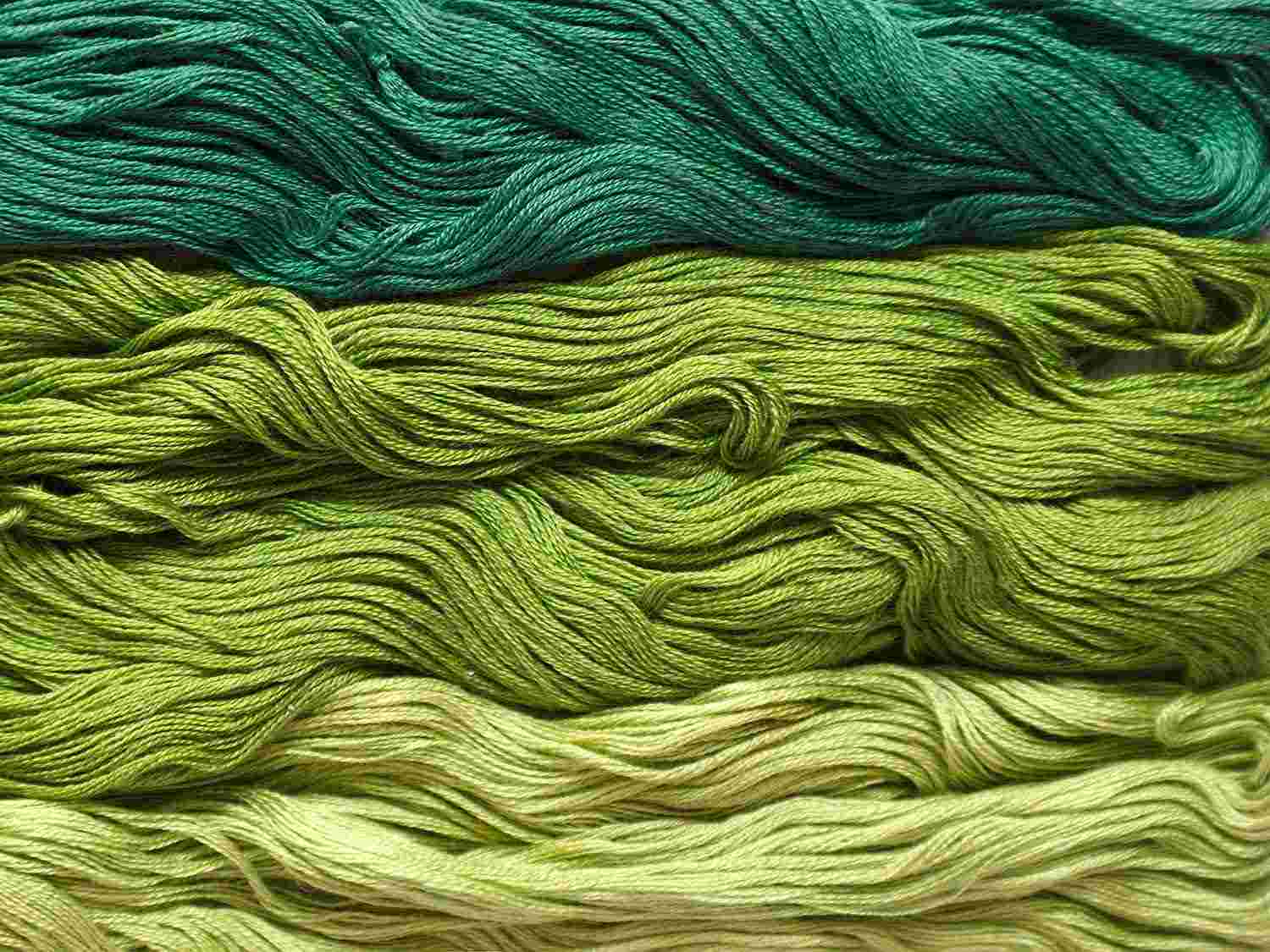 YARN DYE TN